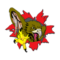 Graphic Animals Graphic Animals