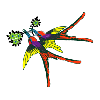 Graphic Animals Graphic Animals