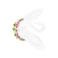 Graphic Animals Graphic Animals