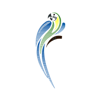 Graphic Animals Graphic Animals