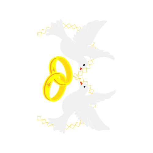 Graphic Animals Graphic Animals