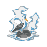 Great Black Backed Gull Animals