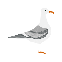 Great Black Backed Gull Animals