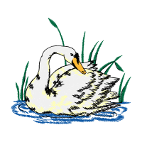 Great Egret Animals Great Egret Animals