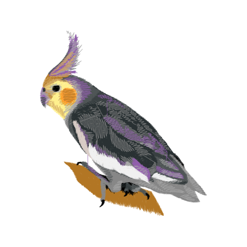 Great Horned Owl Animals Great Horned Owl Animals