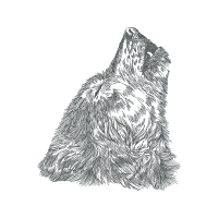 Great Horned Owl Animals
