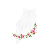 Great Horned Owl Animals