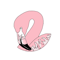 Greater Flamingo Animals