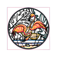 Greater Flamingo Animals