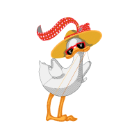 Greater Flamingo Animals