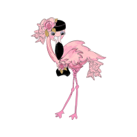Greater Flamingo Animals
