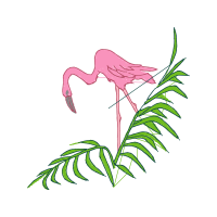 Greater Flamingo Animals