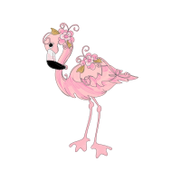 Greater Flamingo Animals
