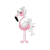 Greater Flamingo Animals