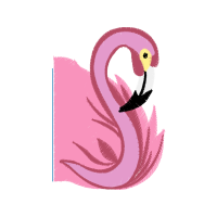 Greater Flamingo Animals