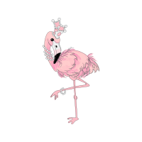 Greater Flamingo Animals