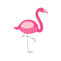 Greater Flamingo Animals