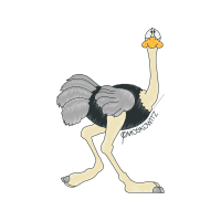 Greater Rhea Animals