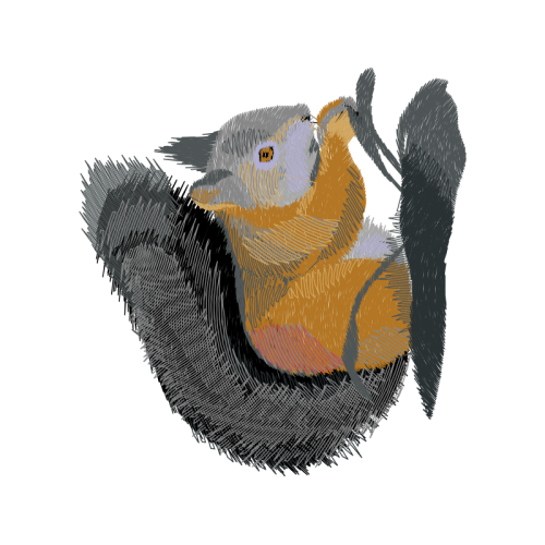 Greater Yellowlegs Animals Greater Yellowlegs Animals