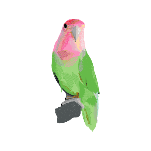 Green Iguana Animals Green Iguana Animals