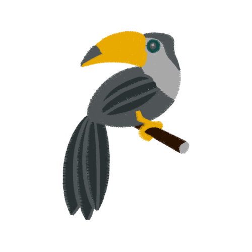 Hornbill Animals Hornbill Animals