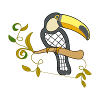 Hornbill Animals