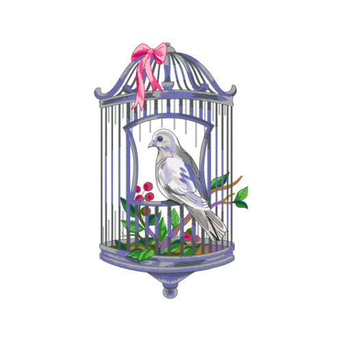 House Finch Animals House Finch Animals