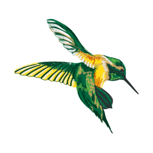 Hummingbirds Animals Hummingbirds Animals