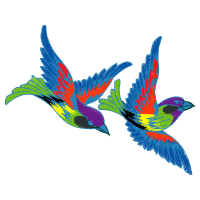 Hummingbirds Animals