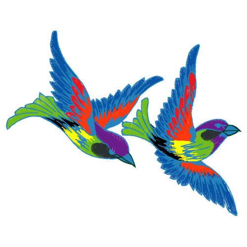 Hummingbirds Animals Hummingbirds Animals