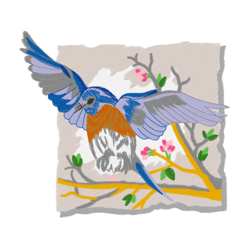 Hummingbirds Animals Hummingbirds Animals