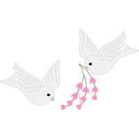 Hummingbirds Animals