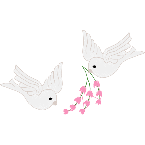 Hummingbirds Animals Hummingbirds Animals