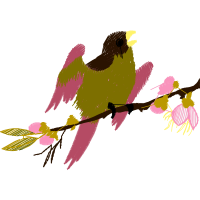 Hummingbirds Animals