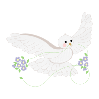 Hummingbirds Animals