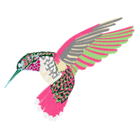 Hummingbirds Animals