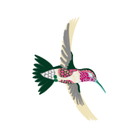 Hummingbirds Animals