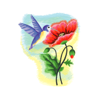 Hummingbirds Animals