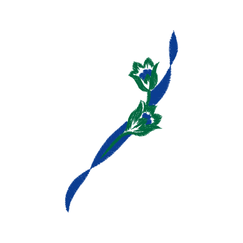 Hummingbirds Animals Hummingbirds Animals