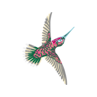 Hummingbirds Animals