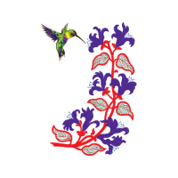 Hummingbirds Animals