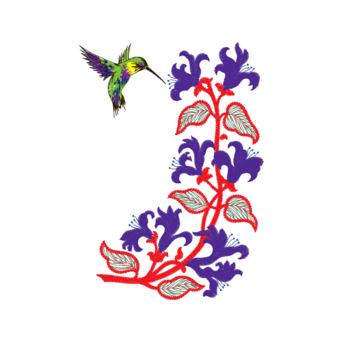 Hummingbirds Animals Hummingbirds Animals