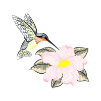 Hummingbirds Animals