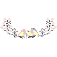 Hummingbirds Animals