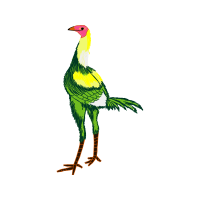 Illustration Animals Illustration Animals