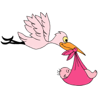 Illustration Animals Illustration Animals