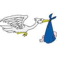 Illustration Animals