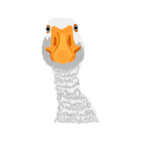 Illustration Animals Illustration Animals