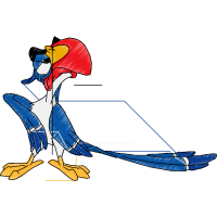 Illustration Animals