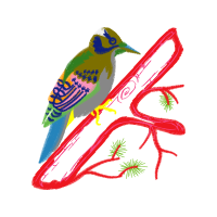 Illustration Animals Illustration Animals